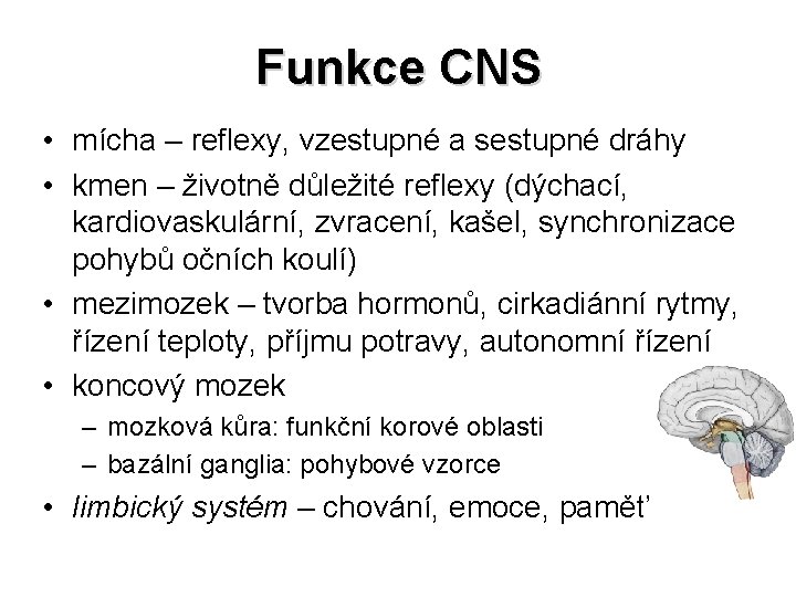 Funkce CNS • mícha – reflexy, vzestupné a sestupné dráhy • kmen – životně