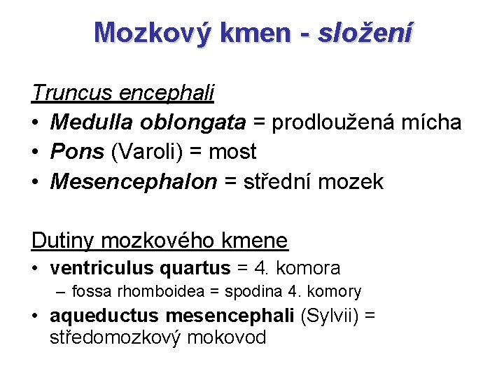 Mozkový kmen - složení Truncus encephali • Medulla oblongata = prodloužená mícha • Pons
