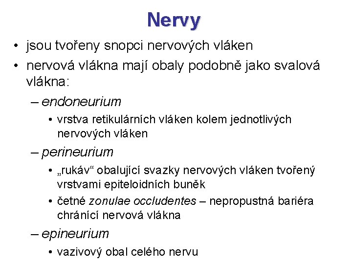 Nervy • jsou tvořeny snopci nervových vláken • nervová vlákna mají obaly podobně jako