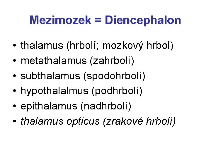 Mezimozek = Diencephalon • • • thalamus (hrbolí; mozkový hrbol) metathalamus (zahrbolí) subthalamus (spodohrbolí)