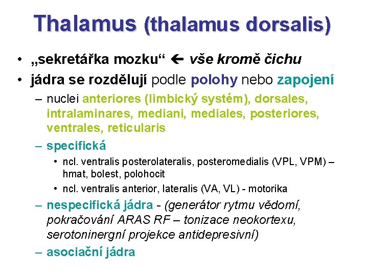 Thalamus (thalamus dorsalis) • „sekretářka mozku“ vše kromě čichu • jádra se rozdělují podle