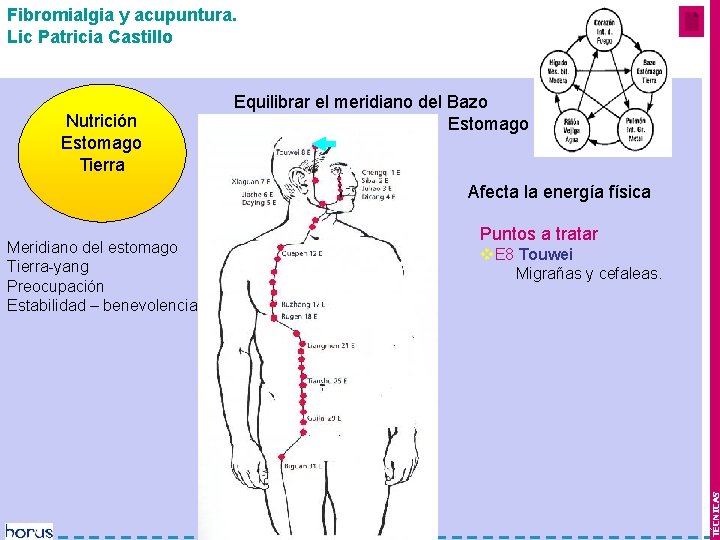 Fibromialgia y acupuntura. Lic Patricia Castillo Nutrición Estomago Tierra Mes 1 y 2 Equilibrar