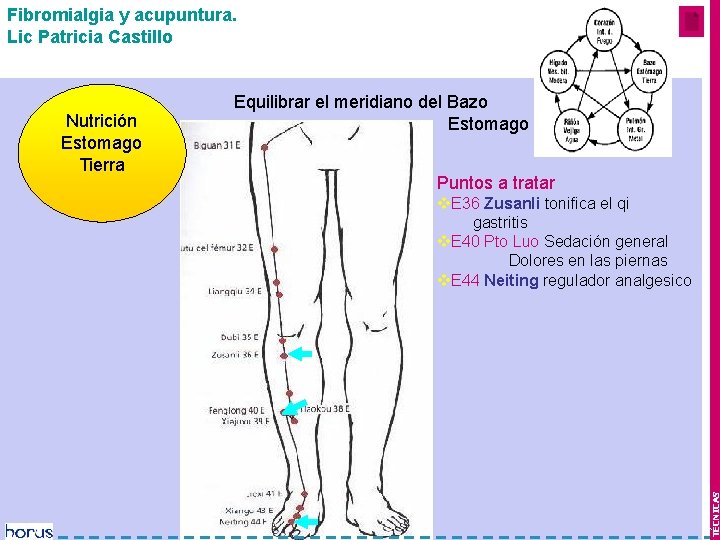 Fibromialgia y acupuntura. Lic Patricia Castillo Equilibrar el meridiano del Bazo Estomago Puntos a