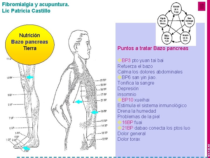 Fibromialgia y acupuntura. Lic Patricia Castillo Puntos a tratar Bazo pancreas v. BP 3