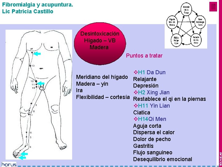 Fibromialgia y acupuntura. Lic Patricia Castillo Mes 1 y 2 Desintoxicación Hígado – VB