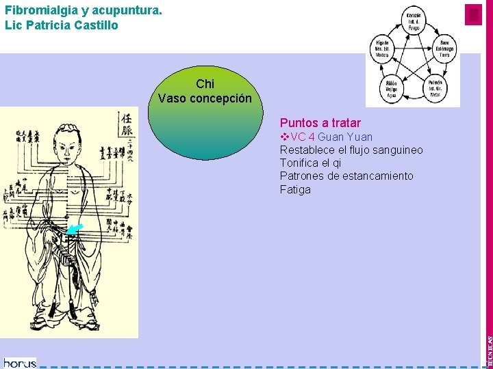 Fibromialgia y acupuntura. Lic Patricia Castillo Mes 1 y 2 Chi Vaso concepción Puntos