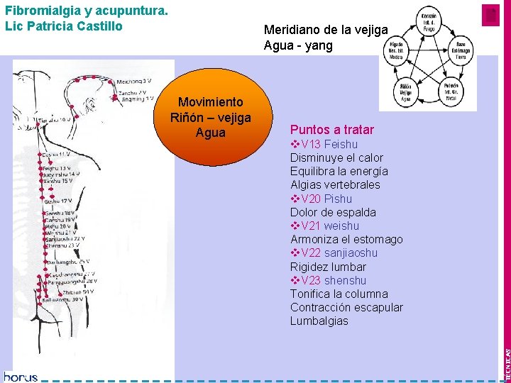 Fibromialgia y acupuntura. Lic Patricia Castillo Meridiano de la vejiga Mes 1 y 2