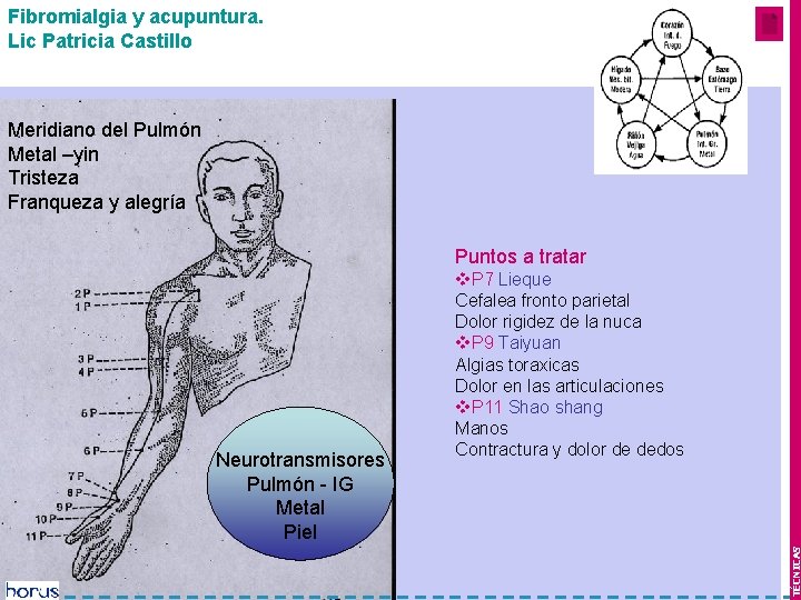 Fibromialgia y acupuntura. Lic Patricia Castillo Mes 1 y 2 Meridiano del Pulmón Metal