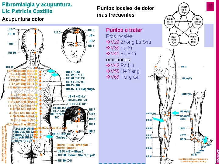 Puntos locales de dolor mas frecuentes Mes 1 y 2 Puntos a tratar Ptos