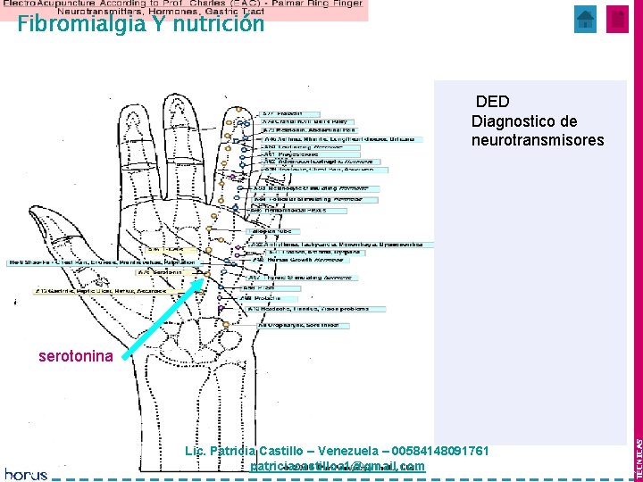 Fibromialgia Y nutrición Mes 1 y 2 DED Diagnostico de neurotransmisores Lic. Patricia Castillo