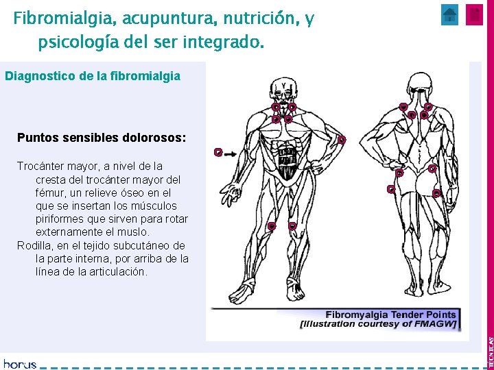 Fibromialgia, acupuntura, nutrición, y Mes 1 y 2 psicología del ser integrado. Diagnostico de