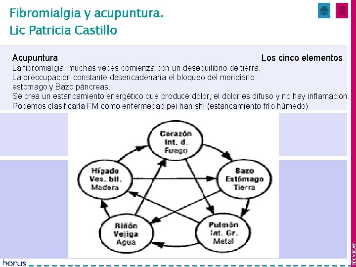 Fibromialgia y acupuntura. Lic Patricia Castillo Acupuntura Mes 1 y 2 Los cinco elementos