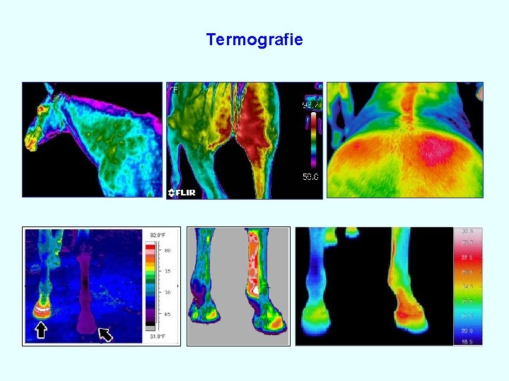 Termografie 