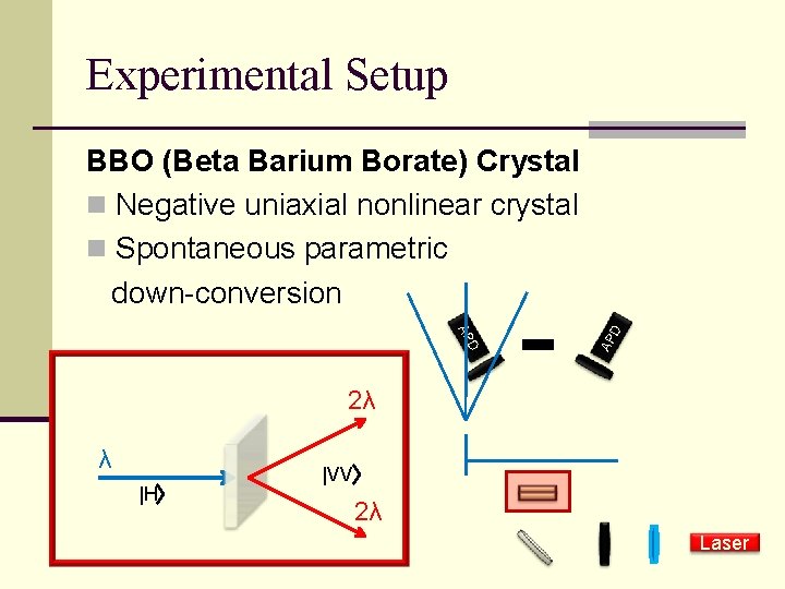 Experimental Setup D AP AP D BBO (Beta Barium Borate) Crystal n Negative uniaxial