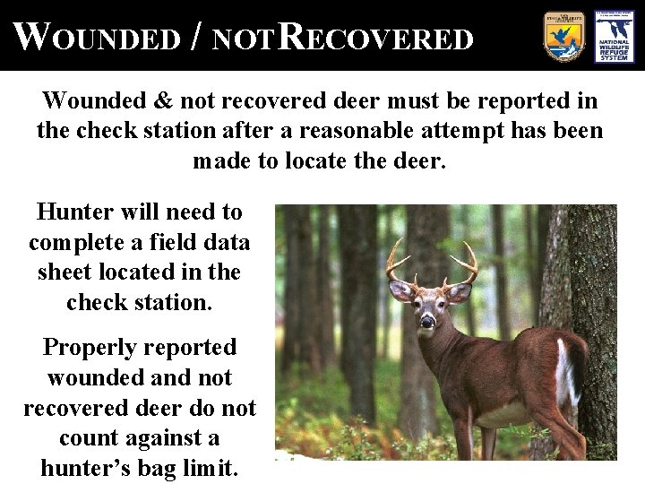 WOUNDED / NOTRECOVERED Wounded & not recovered deer must be reported in the check
