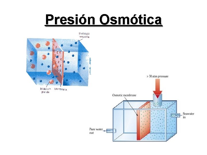 Presión Osmótica 