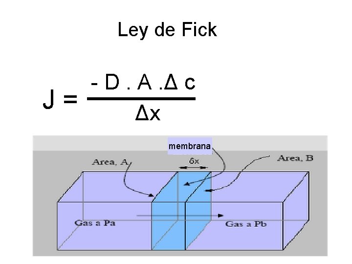 Ley de Fick - D. A. Δ c J = Δx membrana 