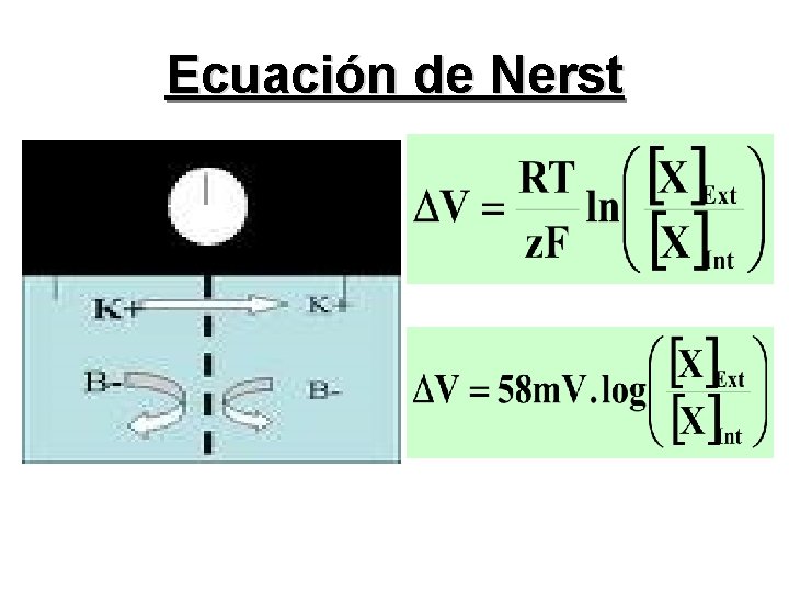 Ecuación de Nerst 