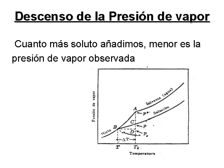 Descenso de la Presión de vapor Cuanto más soluto añadimos, menor es la presión