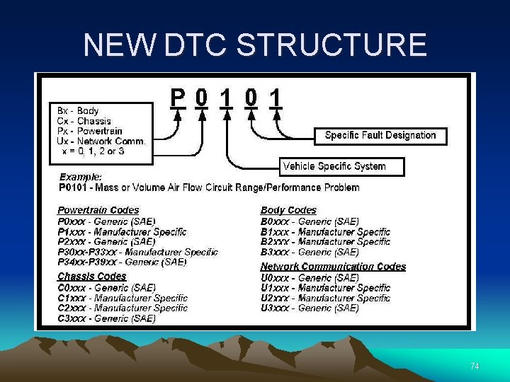 NEW DTC STRUCTURE 74 