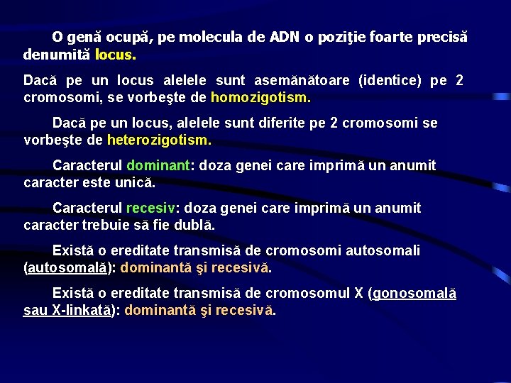 O genă ocupă, pe molecula de ADN o poziţie foarte precisă denumită locus. Dacă