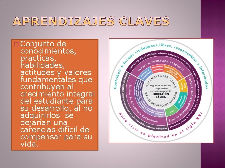 � Conjunto de conocimientos, practicas, habilidades, actitudes y valores fundamentales que contribuyen al crecimiento