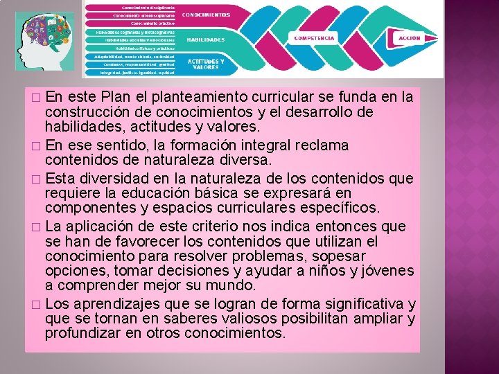 En este Plan el planteamiento curricular se funda en la construcción de conocimientos y
