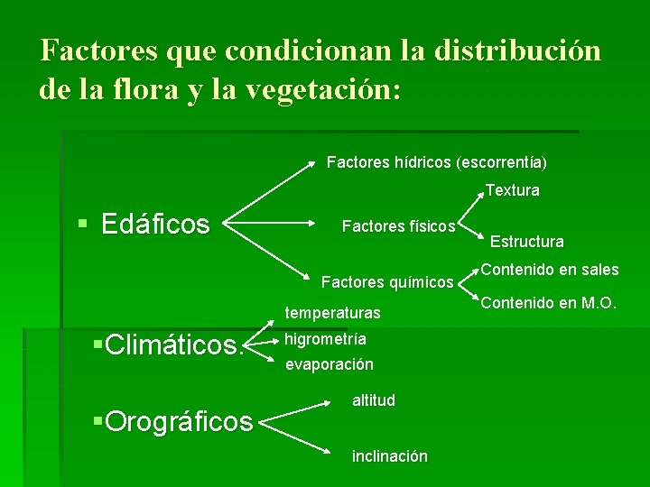 Factores que condicionan la distribución de la flora y la vegetación: Factores hídricos (escorrentía)