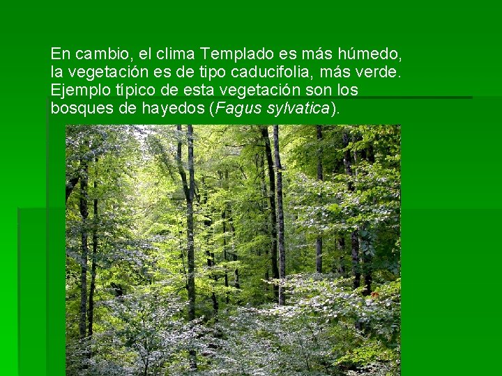 En cambio, el clima Templado es más húmedo, la vegetación es de tipo caducifolia,