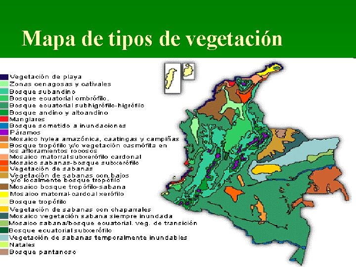 Mapa de tipos de vegetación 