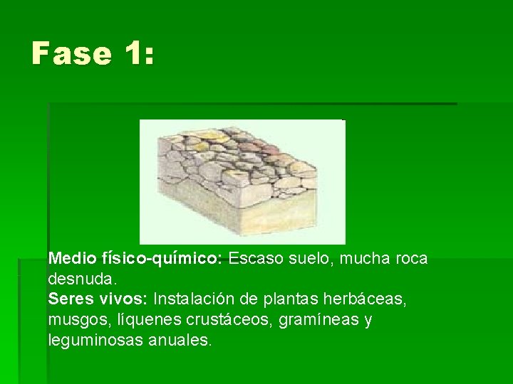Fase 1: Medio físico-químico: Escaso suelo, mucha roca desnuda. Seres vivos: Instalación de plantas