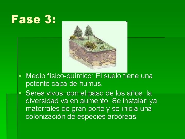 Fase 3: § Medio físico-químico: El suelo tiene una potente capa de humus. §