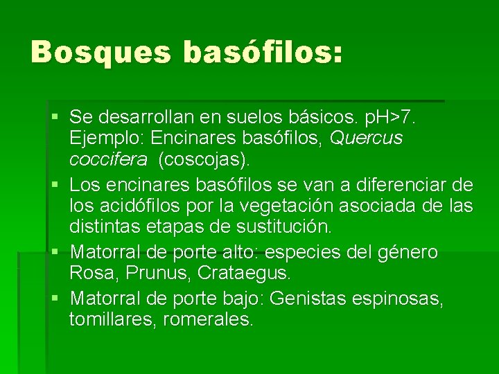 Bosques basófilos: § Se desarrollan en suelos básicos. p. H>7. Ejemplo: Encinares basófilos, Quercus