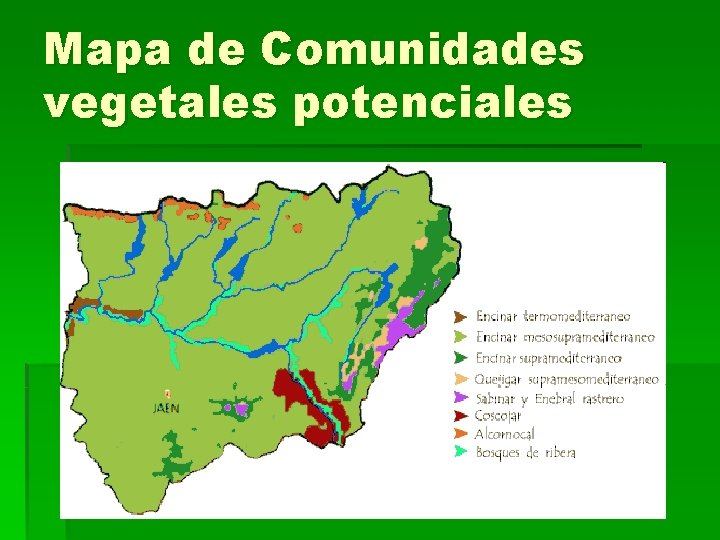 Mapa de Comunidades vegetales potenciales 