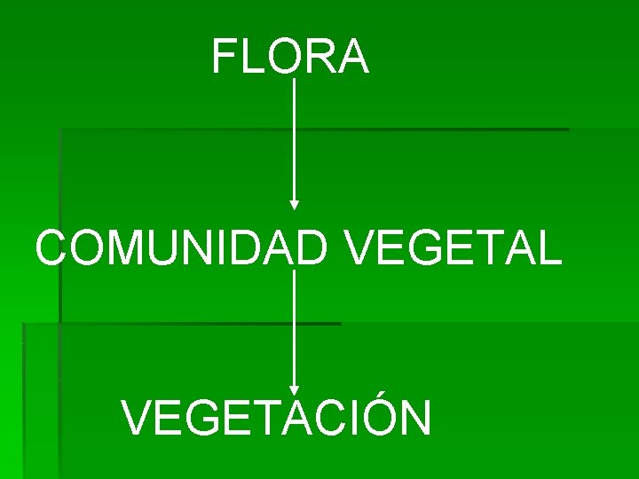 FLORA COMUNIDAD VEGETAL VEGETACIÓN 