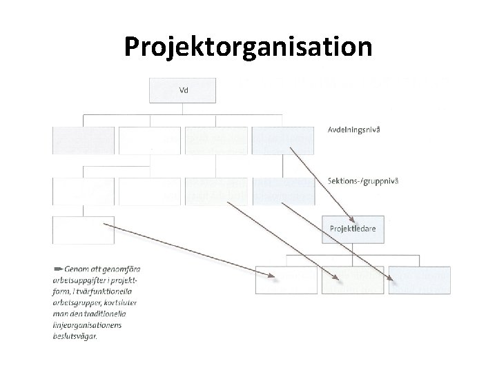 Projektorganisation 