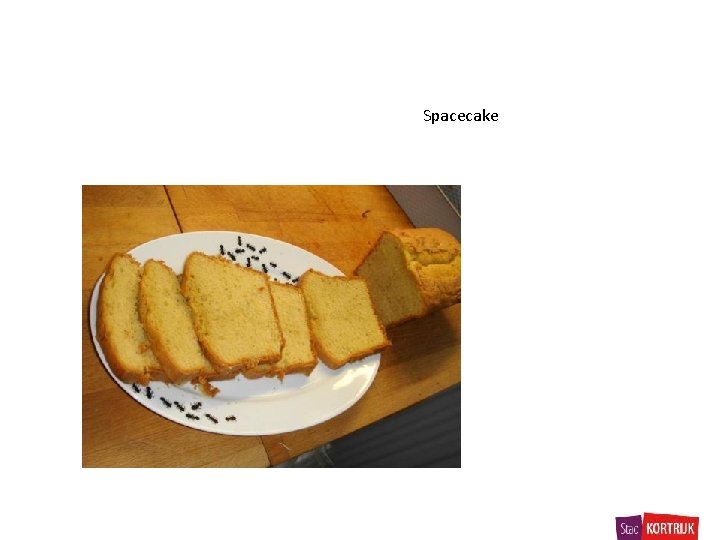Spacecake 