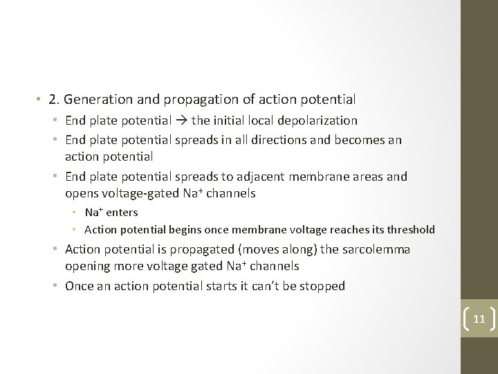  • 2. Generation and propagation of action potential • End plate potential the