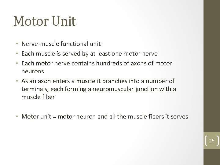 Motor Unit • Nerve-muscle functional unit • Each muscle is served by at least