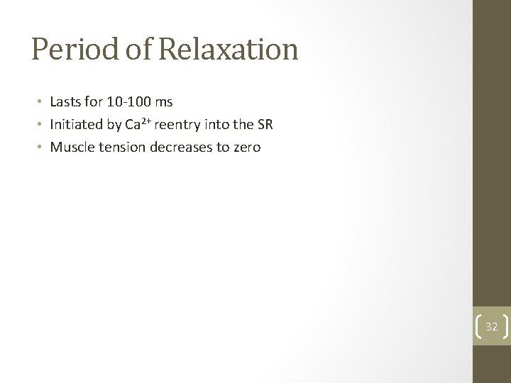 Period of Relaxation • Lasts for 10 -100 ms • Initiated by Ca 2+