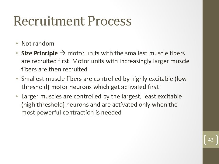 Recruitment Process • Not random • Size Principle motor units with the smallest muscle