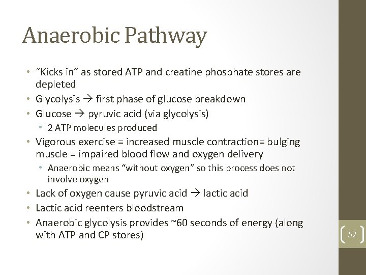 Anaerobic Pathway • “Kicks in” as stored ATP and creatine phosphate stores are depleted