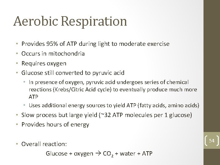 Aerobic Respiration • • Provides 95% of ATP during light to moderate exercise Occurs