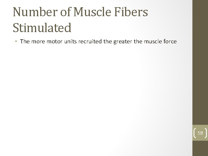 Number of Muscle Fibers Stimulated • The more motor units recruited the greater the