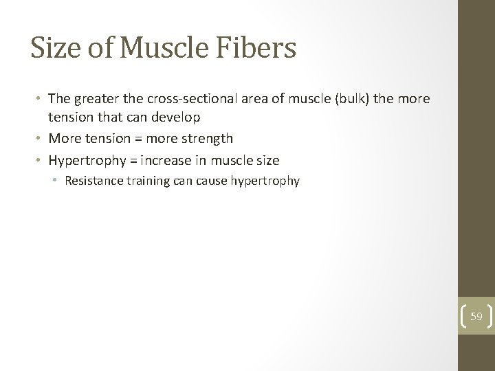 Size of Muscle Fibers • The greater the cross-sectional area of muscle (bulk) the