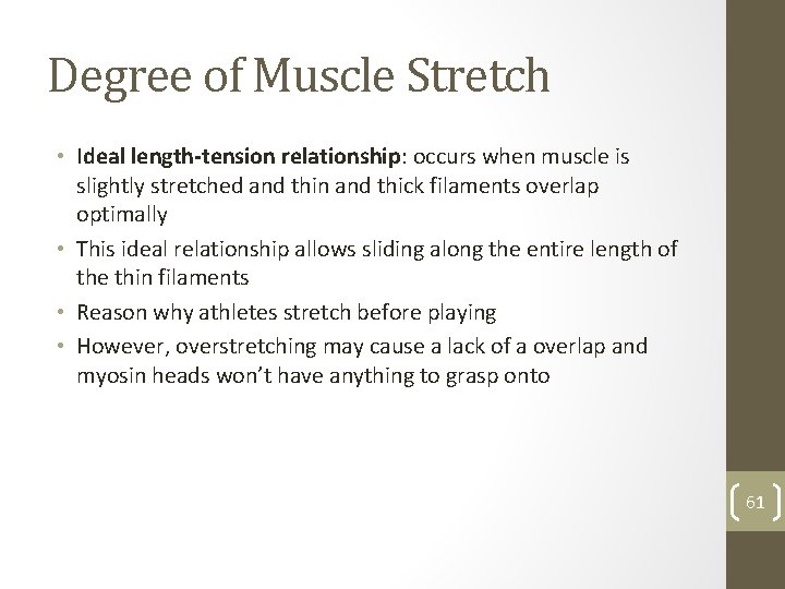 Degree of Muscle Stretch • Ideal length-tension relationship: occurs when muscle is slightly stretched