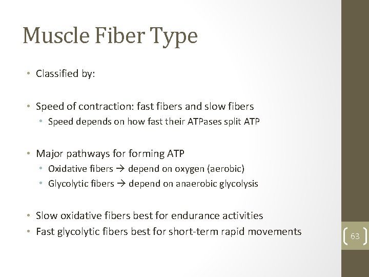Muscle Fiber Type • Classified by: • Speed of contraction: fast fibers and slow