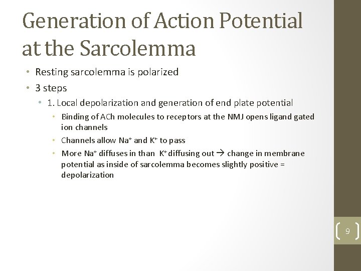 Generation of Action Potential at the Sarcolemma • Resting sarcolemma is polarized • 3