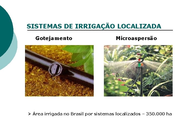 SISTEMAS DE IRRIGAÇÃO LOCALIZADA Gotejamento Microaspersão Ø Área irrigada no Brasil por sistemas localizados