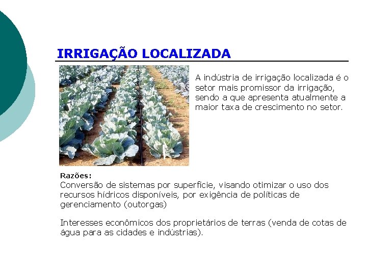 IRRIGAÇÃO LOCALIZADA A indústria de irrigação localizada é o setor mais promissor da irrigação,